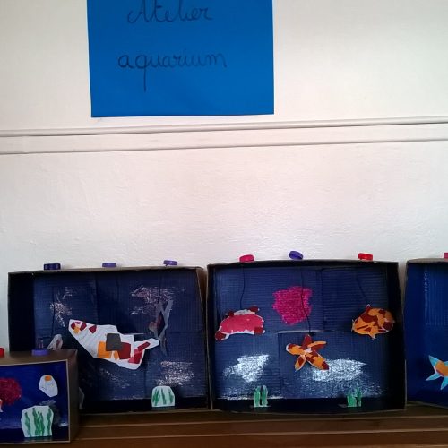 aquarium